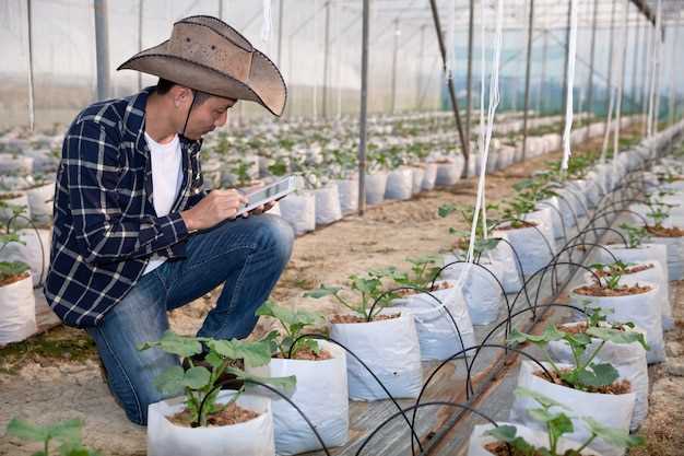 Türkiye Tarım Sektörünün Sorunları ve Geleceği Üzerine Çözüm Önerileri